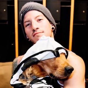 Meet your Posher, Daphne